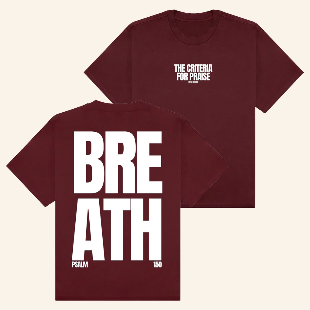 2819 Merch Breath Shirt The Criteria For Praise T-Shirt Birthday Gift For Sister