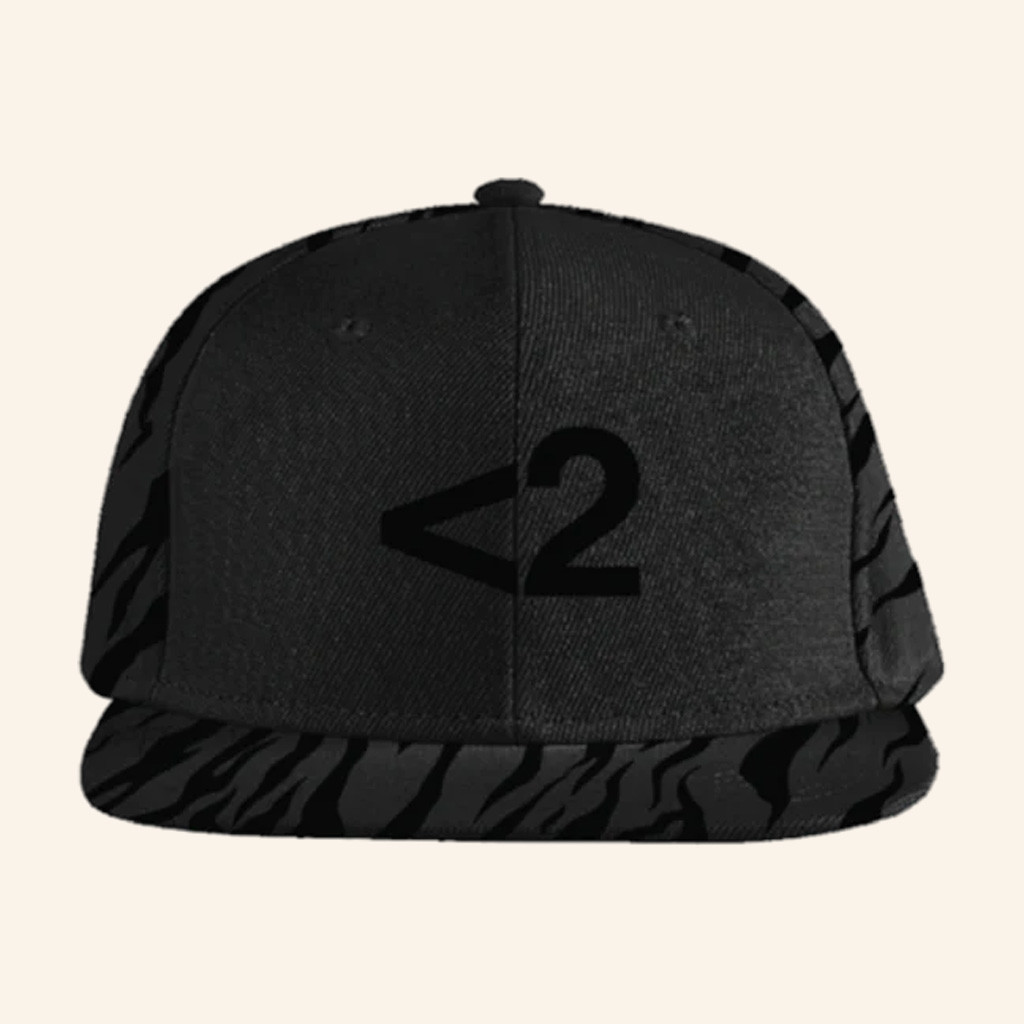2hollis Merch Logo Snapback Hat Gift Ideas For Rapper Fans