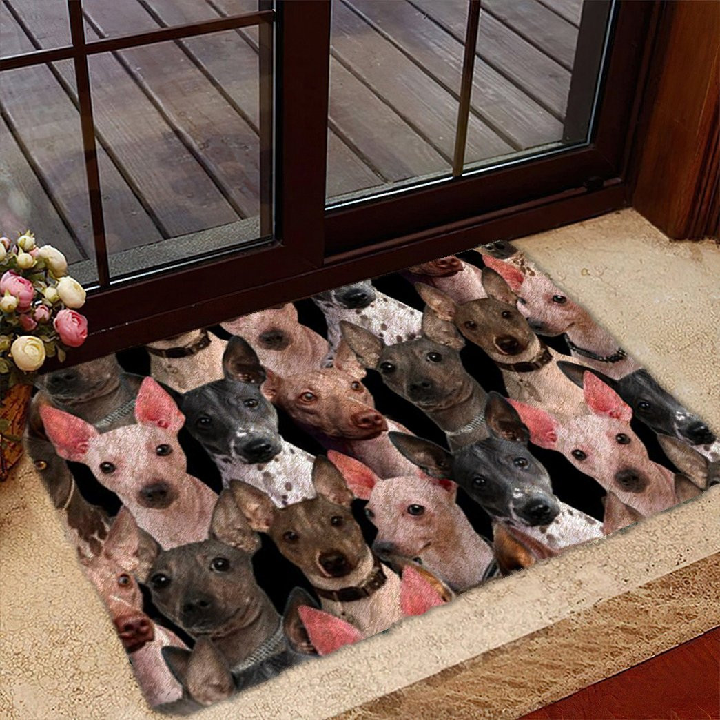 A Bunch Of American Hairless Terriers Doormat Front Door Decor Cool Gifts For Animal Lovers