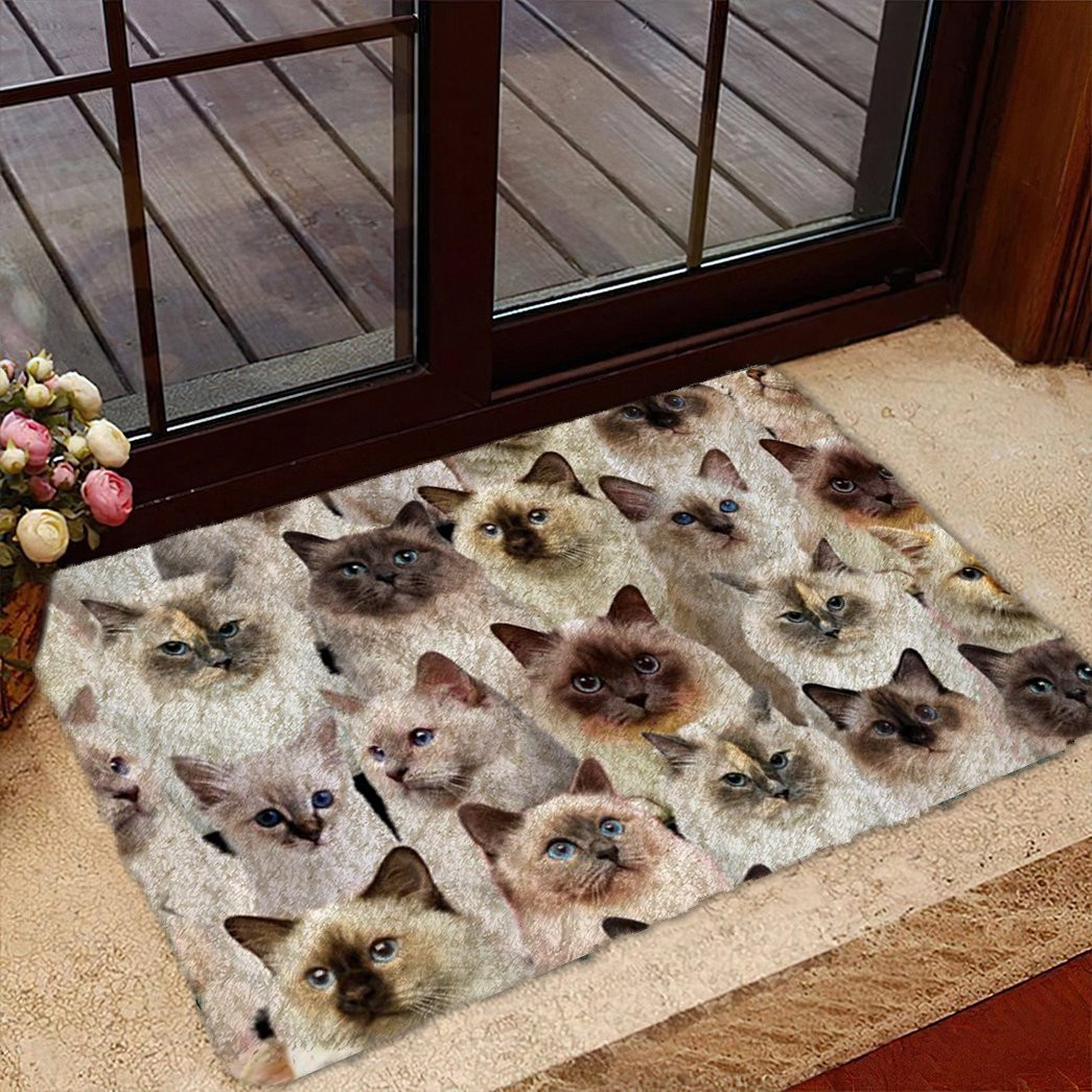 A Bunch Of Birman Cats Doormat Entryway Christmas Decor Ideas Cat Lover Funny Gifts