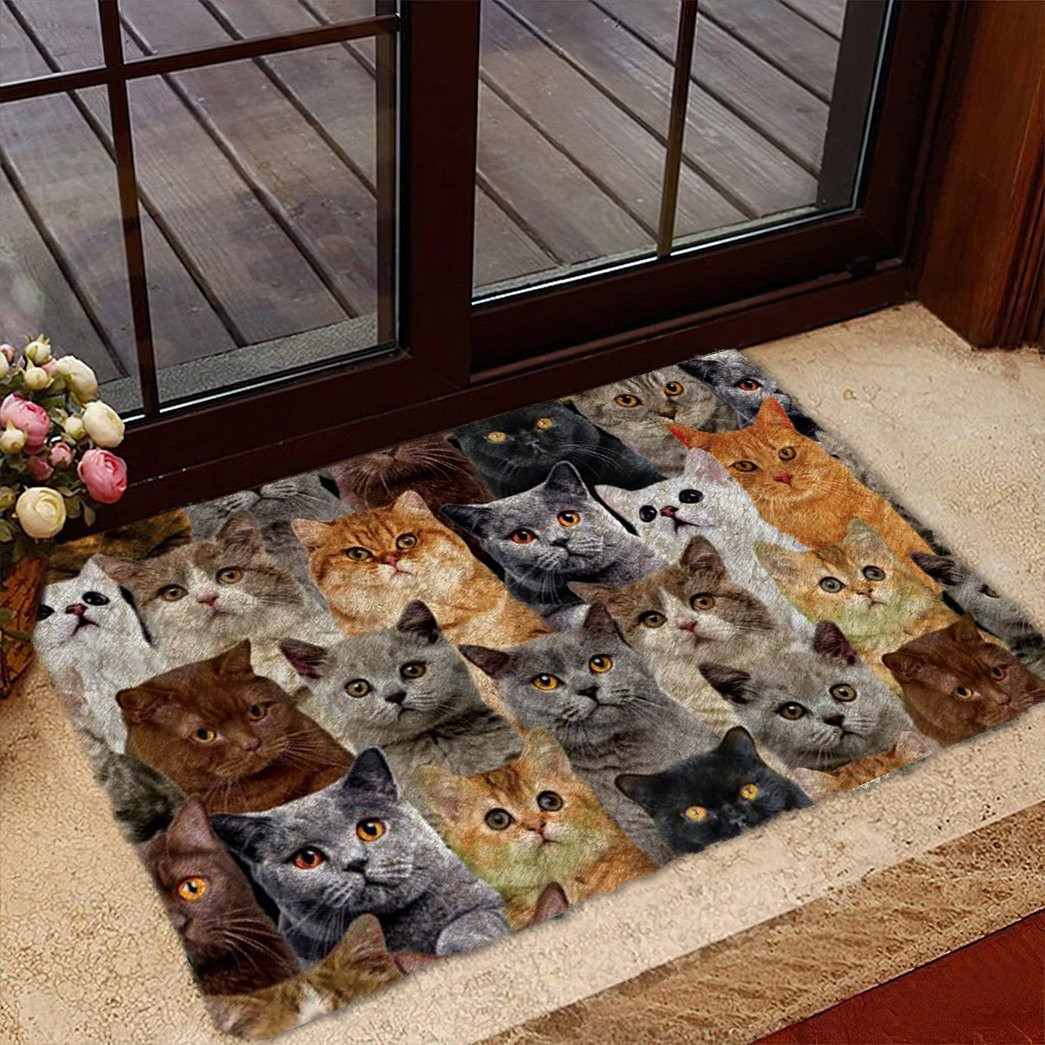 A Bunch Of British Shorthair Cats Christmas Entryway Ideas Doormat Presents For Cat Lovers