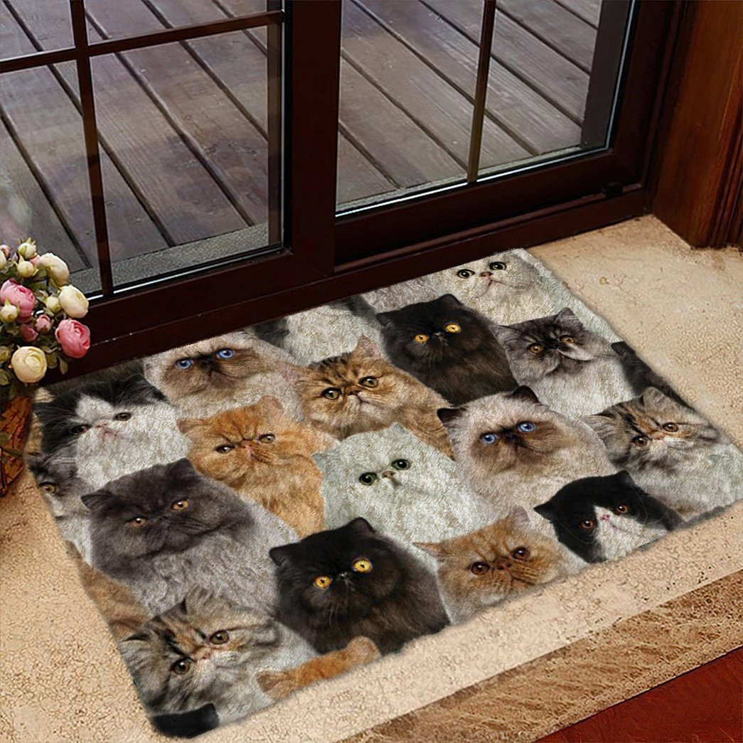 A Bunch Of Persian Cats Doormat Door Entrance Decor Best Cat Gifts For Christmas