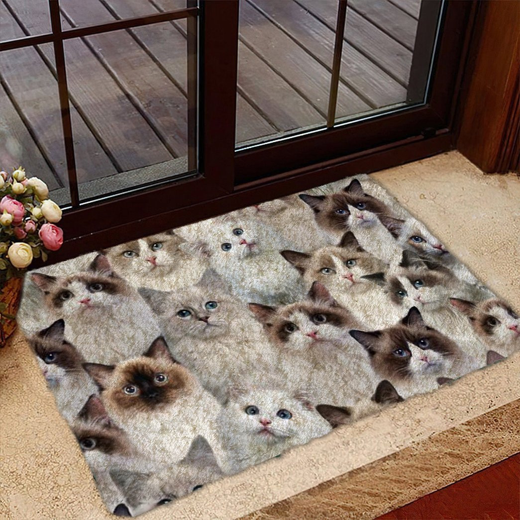 A Bunch Of Ragdoll Cats Doormat Home Front Door Design Best Presents For Cat Lovers
