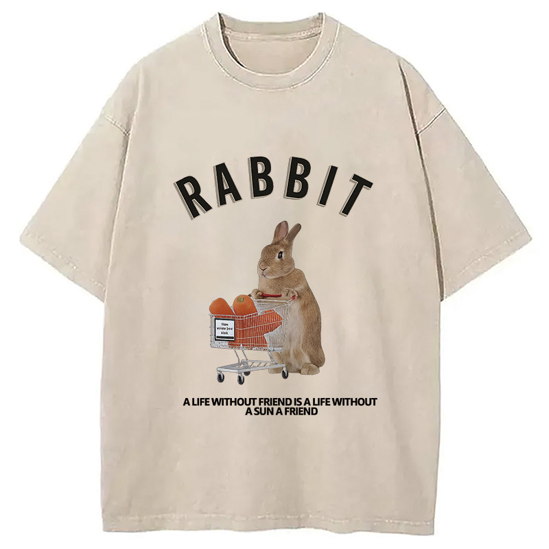 A Life Without A Friend Washed T-Shirt Classic Graphic Fashion Tee Gifts For Besties