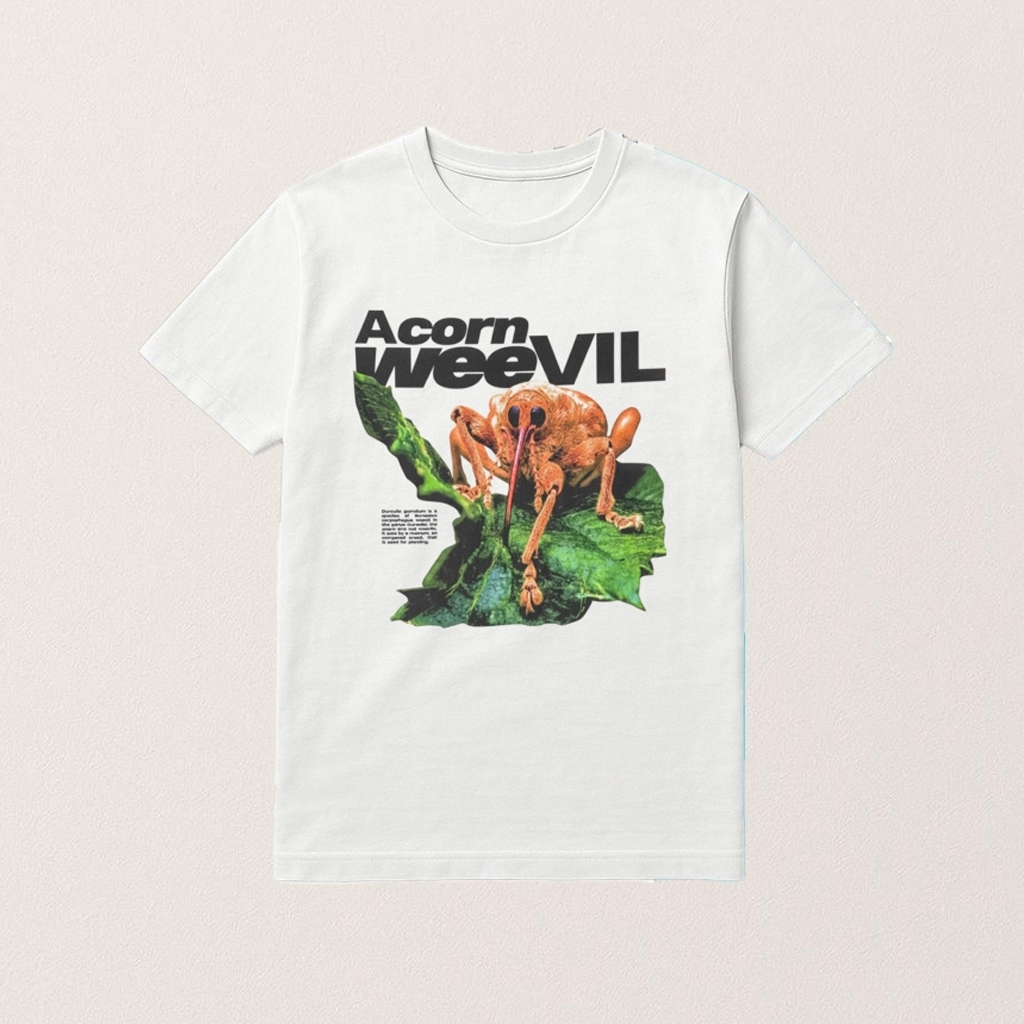 Acorn Weevil Stare Shirt Funny Nature T-Shirt Gifts Ideas For Friends