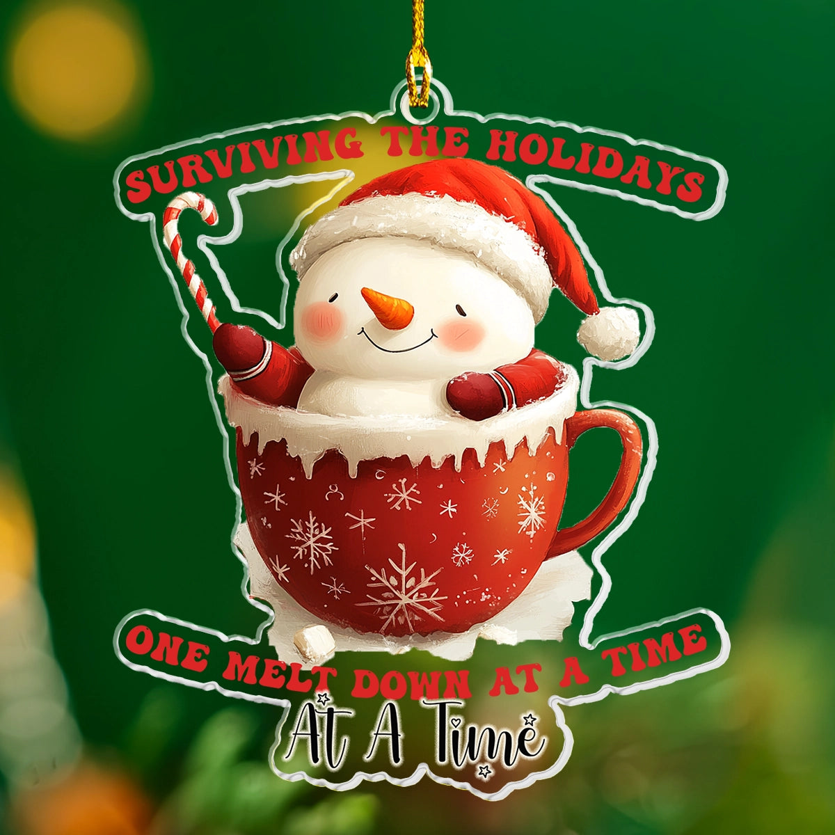Acrylic Ornament Funny Christmas Personalized Merch Gift Idea Lovely Holiday Ornament Gift