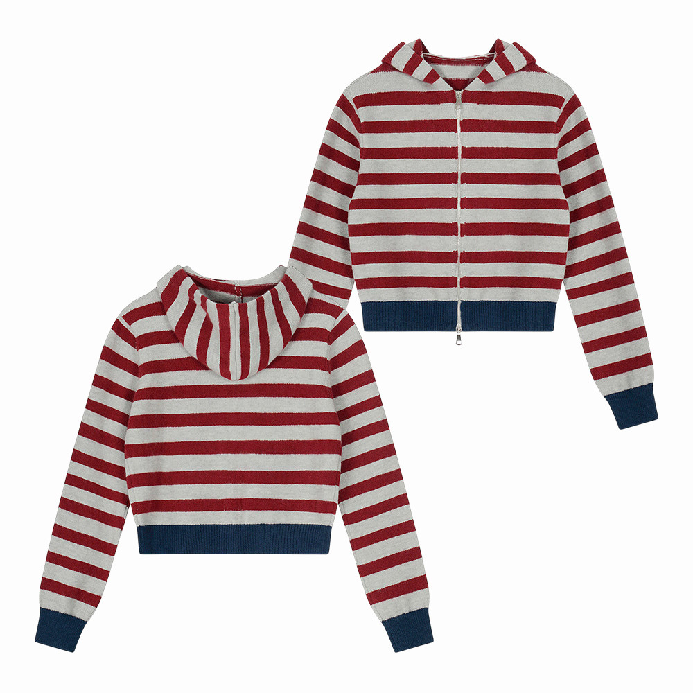 Aelfric Eden Striped Cropped Zip Hoodie Aelfric Eden Apparel Gift Idea For Brother
