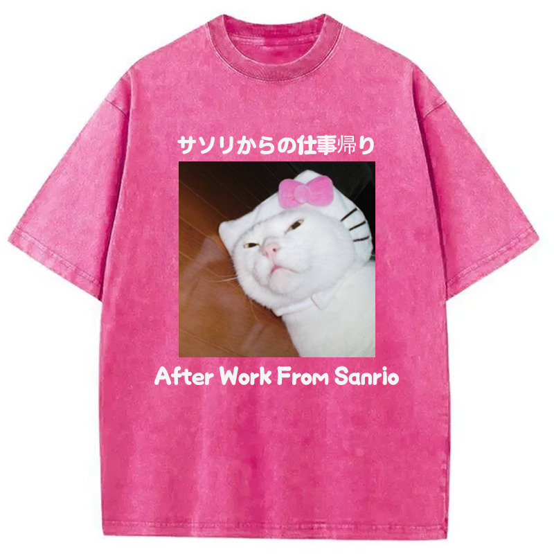 After Work From Sanrio Washed T-Shirt Everyday Comfort Graphic Shirt Gifts For Sister