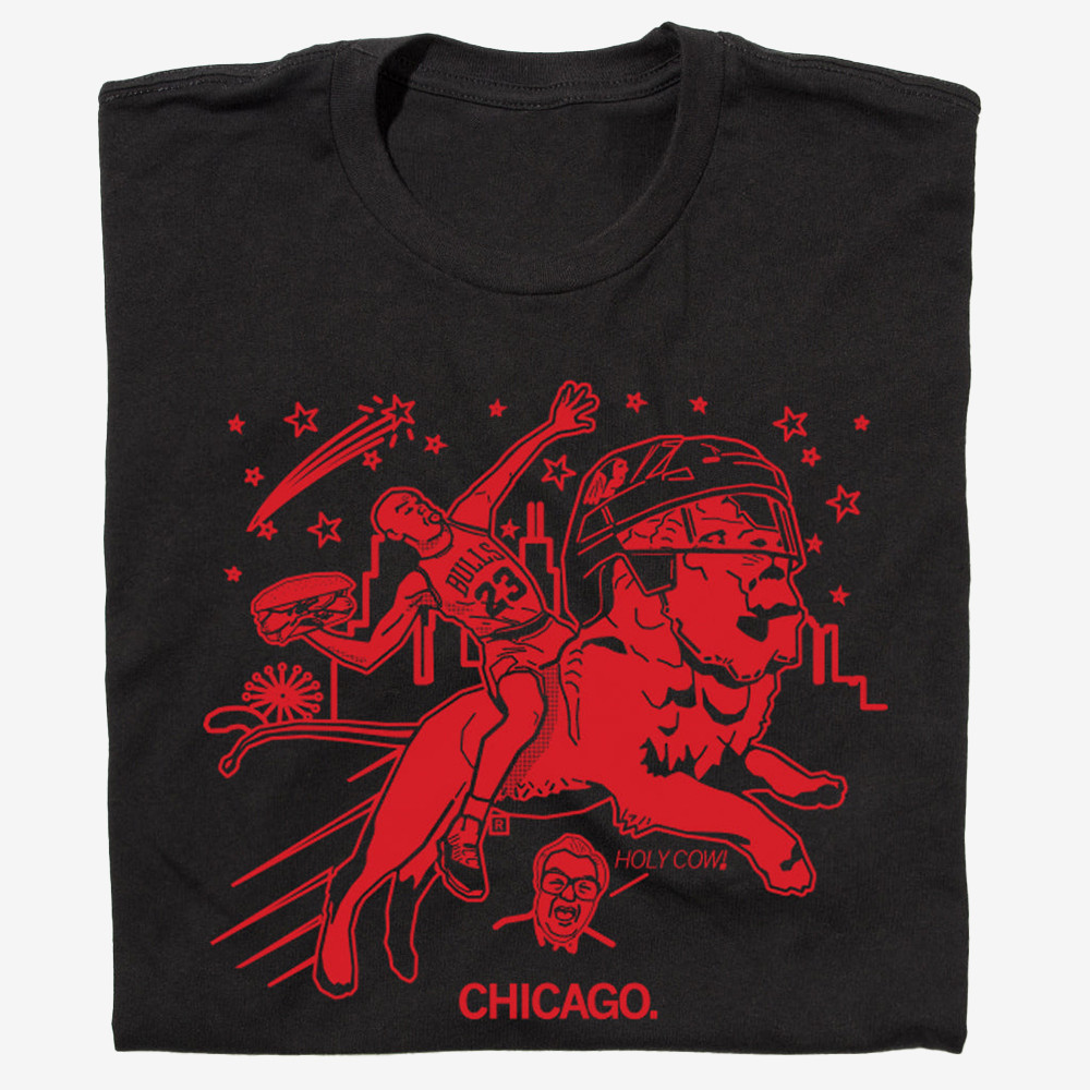 Air Chicago Chicago Bulls T-Shirt Game Day Clothes Football Gifts For Boyfriend