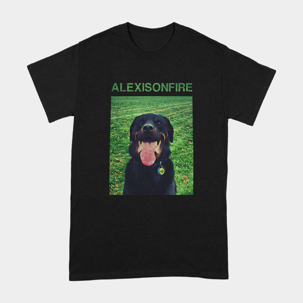 Alexisonfire Merch Brixton T-Shirt Alexisonfire Shirt Gift Ideas For Music Lovers