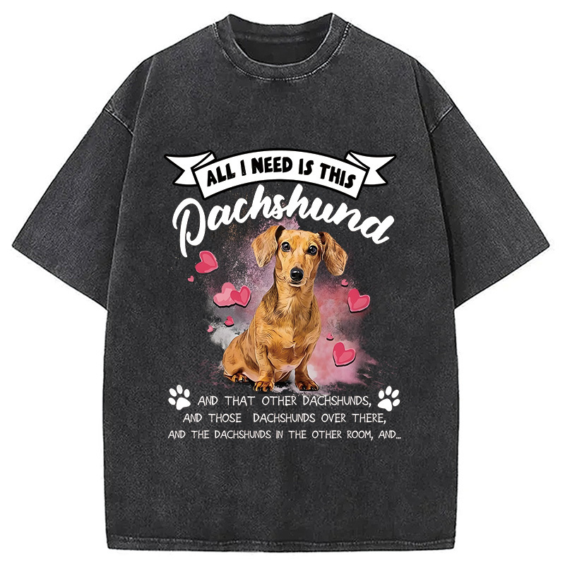 All I Need This Washed T-Shirt Everyday Comfort Graphic Shirt Gifts For Him