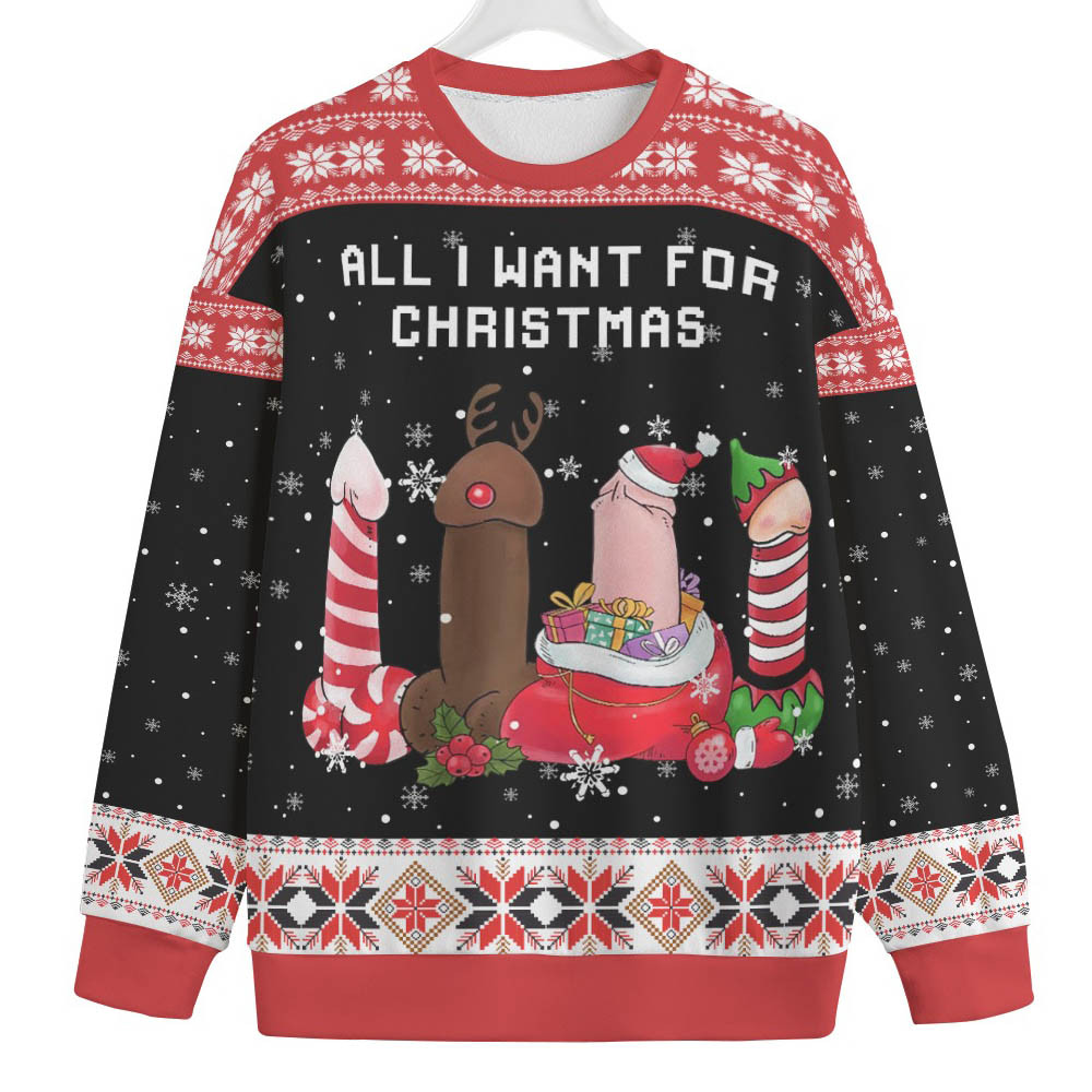 All I Want For Christmas Is Inappropriate Plus Size Ugly Sweater Personalized Christmas Sweatshirt Gift for Family
