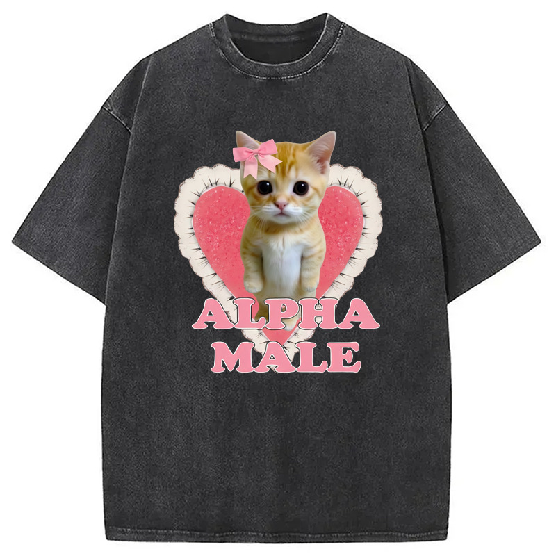 Alpha Male Kitten Washed T-Shirt Casual Oversized Outfit Style Gifts For Him