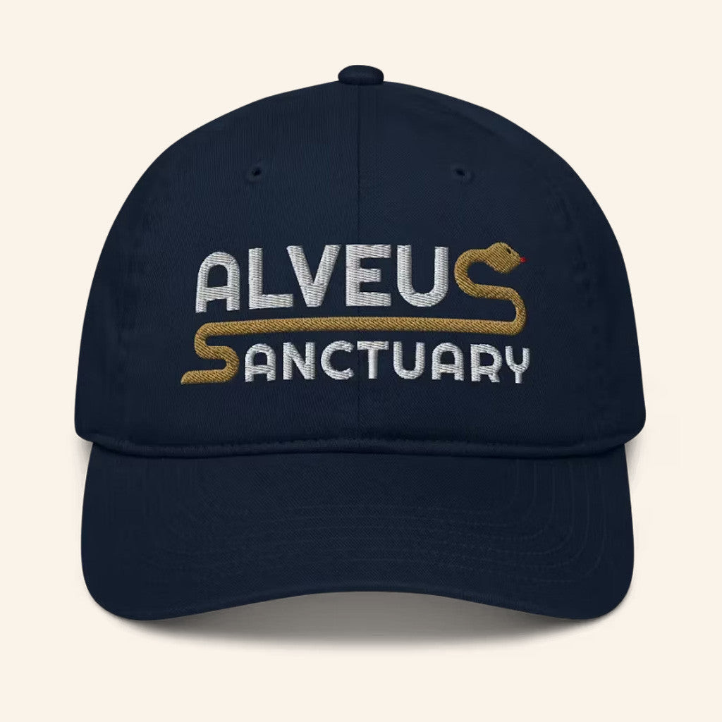 Alveus Sanctuary Merch Embroidered Noodle Hat Gifts For Besties Alveus Sanctuary Merch Embroidered Noodle Hat Gifts For Besties