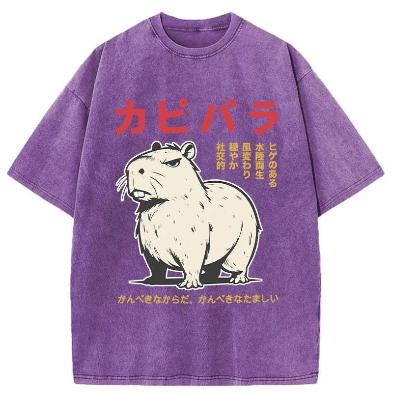 Angry Capybara Japan Washed T-Shirt Casual Vintage Everyday Look Gifts For Friends