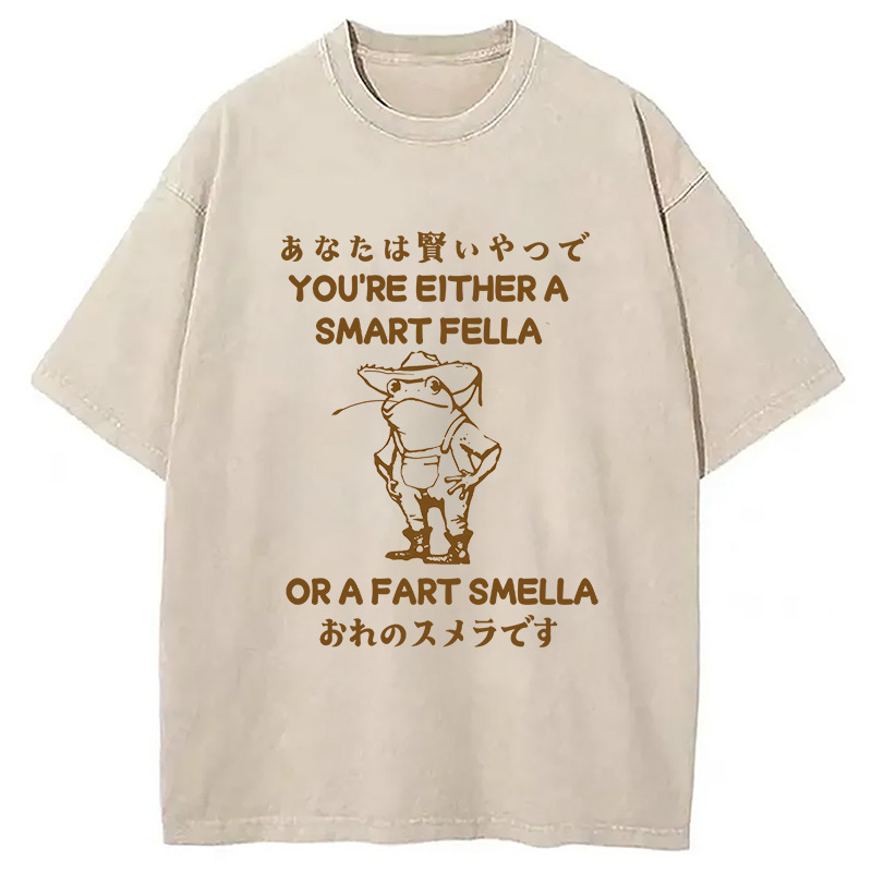 Are You A Smart Fella Or Fart Smella Washed T-Shirt Funny Graphic Gift For Friends Gifts For Sister