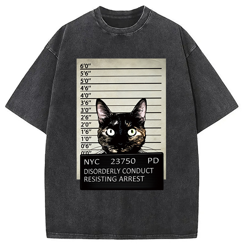 Arrested Black Cat Washed T-Shirt Retro Humor Graphic Top Gifts For Her
