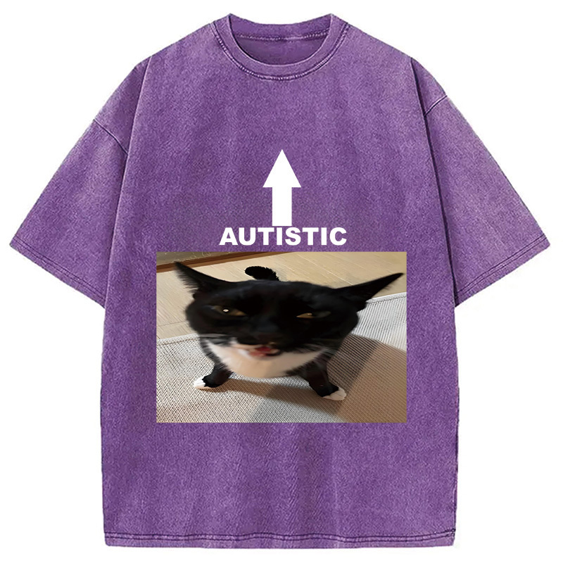 Autistic Cat Washed T-Shirt Everyday Comfort Graphic Shirt Gifts For Him