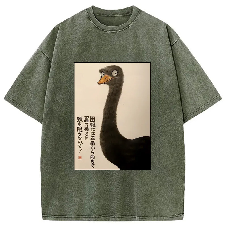 Avoid Difficulties Funny Washed T-Shirt Unique Aesthetic Fashion Tee Gifts For Her