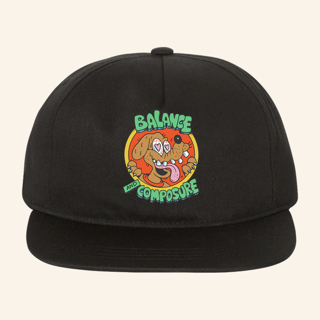 Balanced Comp Merch Dog Snapback Hat Gifts For Him