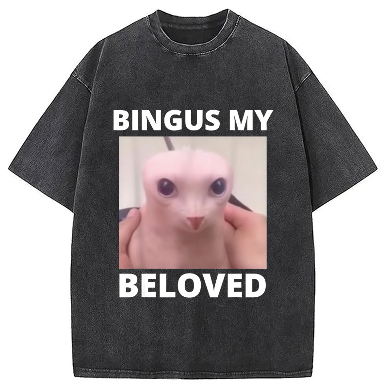 Bald Bingus My Beloved Hairless Sphinx Cat Washed T-Shirt Casual Vintage Everyday Look Gifts For Besties Bald Bingus My Beloved Hairless Sphinx Cat Washed T-Shirt Casual Vintage Everyday Look Gifts For Besties