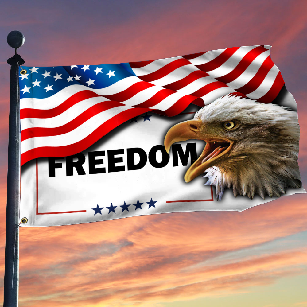 Bald Eagle Turning Point USA Flag Freedom Charlie Kirk Merch Charlie Kirk American Flag Gift Ideas