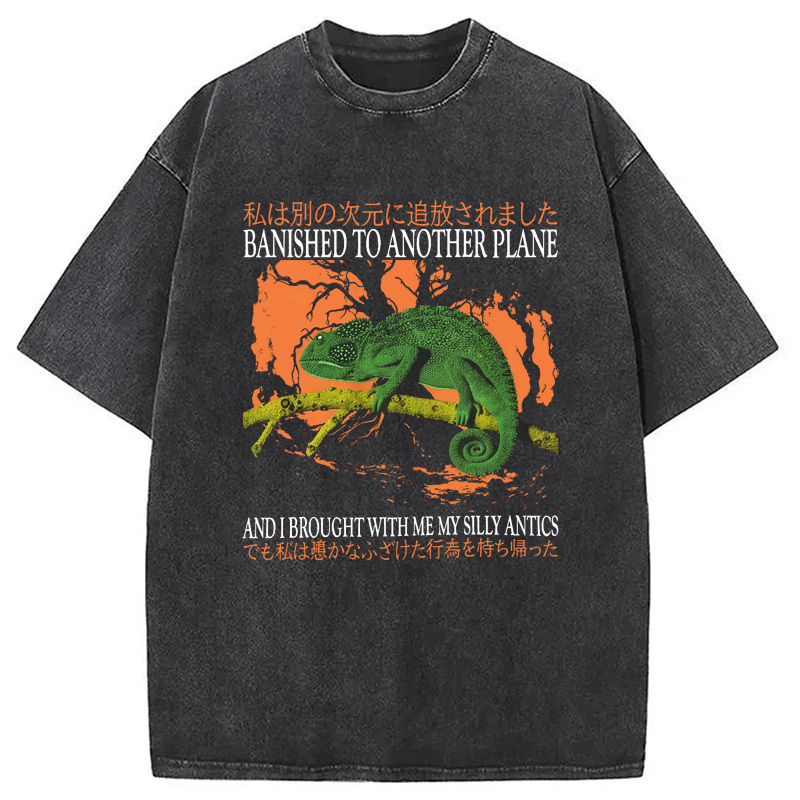 Banished to Another Plane Chameleon Washed T-Shirt Soft Comfortable Daily T Shirt Gifts For Friends Banished to Another Plane Chameleon Washed T-Shirt Soft Comfortable Daily T Shirt Gifts For Friends