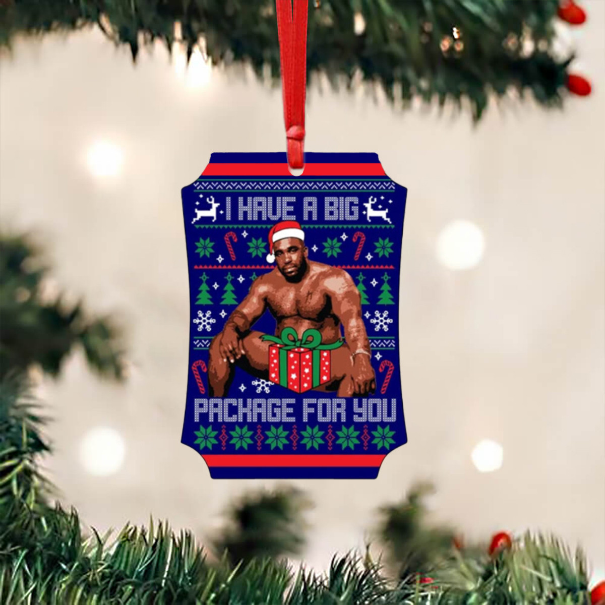 Barry Wood Meme Christmas Ornament I Have A Big Package For You Gag Christmas Ornaments