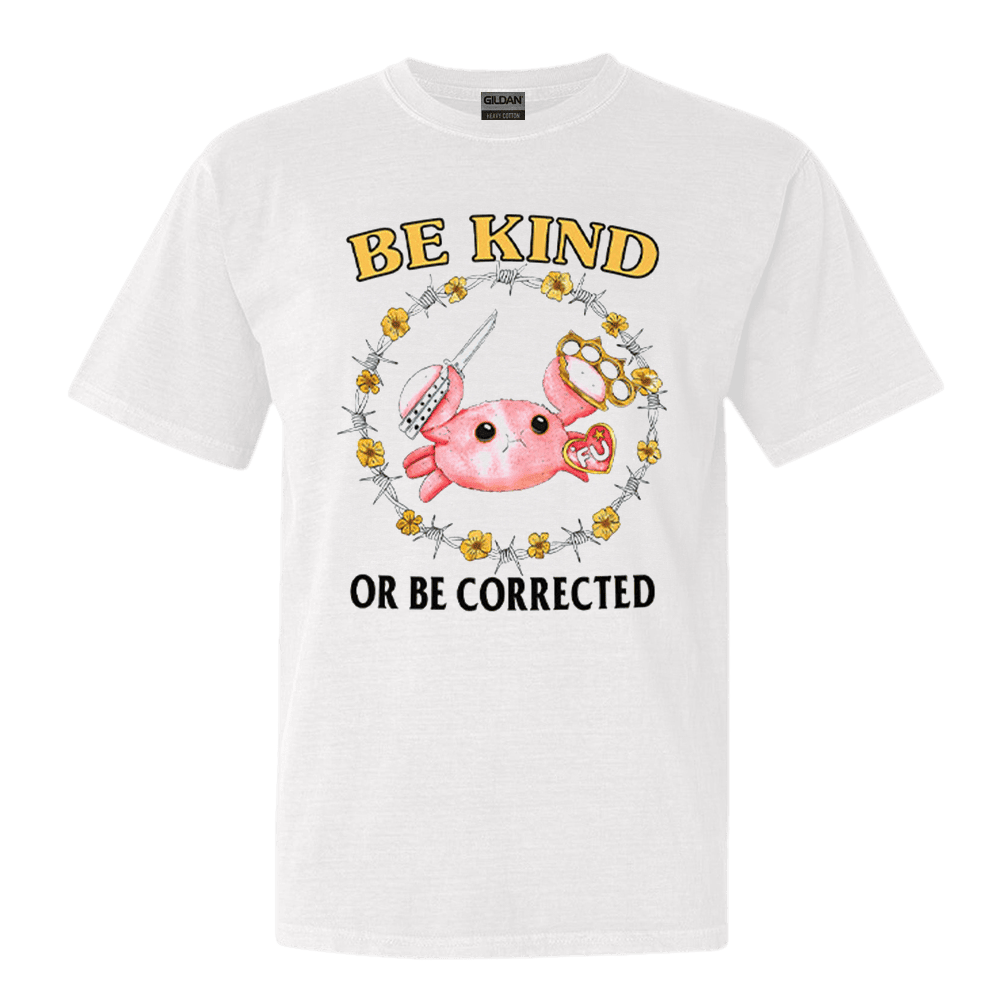 Be Kind Or Be Corrected T-Shirt Cute Graphic Tees Christmas Gift for Him