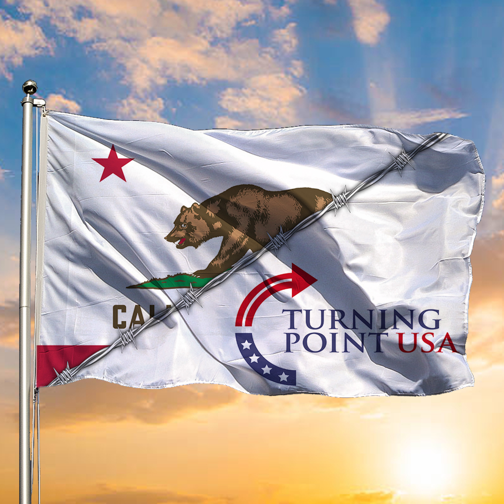 Bear Charlie Kirk Turning Point USA Flag Golden Freedom Pray For America Gift For Decor