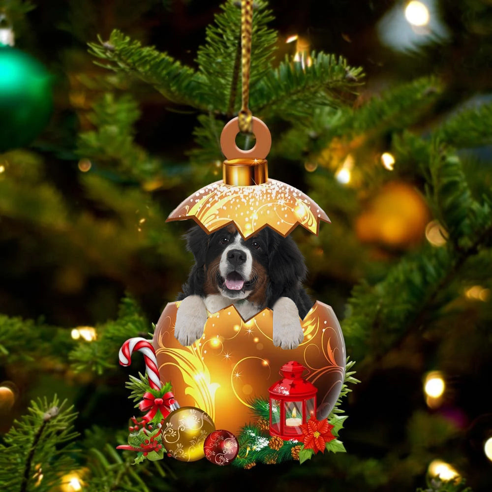 Bernese Mountain In in Golden Egg Christmas Ornament Flat Acrylic Dog Ornament