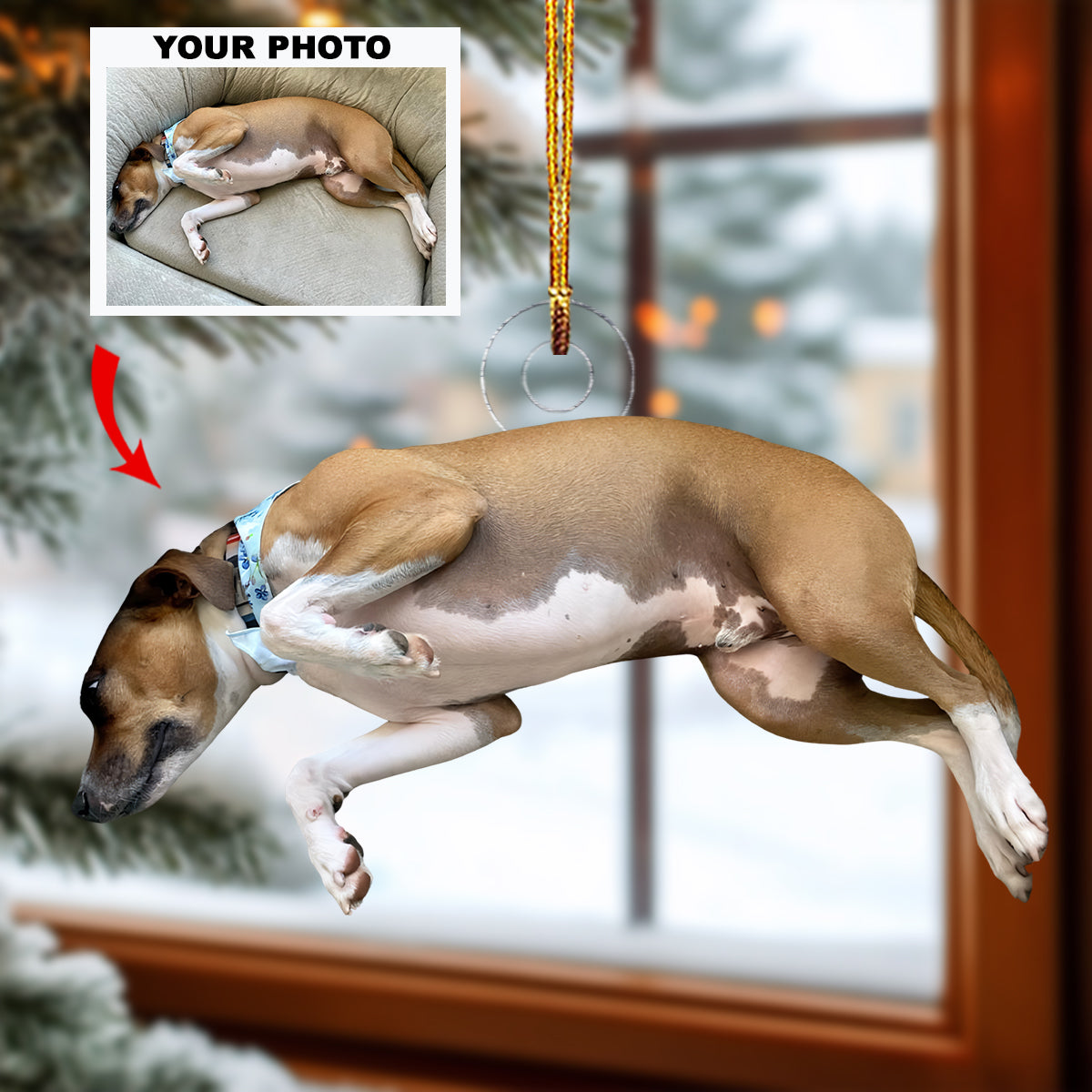 Best In Show Personalized Photo Mica Ornament Christmas Gift For Dog Lovers