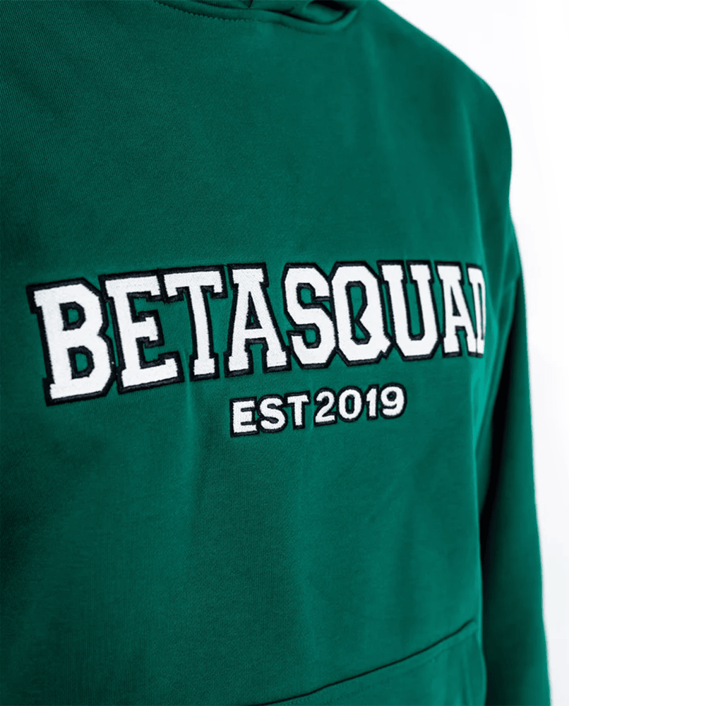 Beta Squad Merch Beta Squad Est 2019 Hoodie Perfect Father's Day Gifts Beta Squad Merch Beta Squad Est 2019 Hoodie Perfect Father's Day Gifts