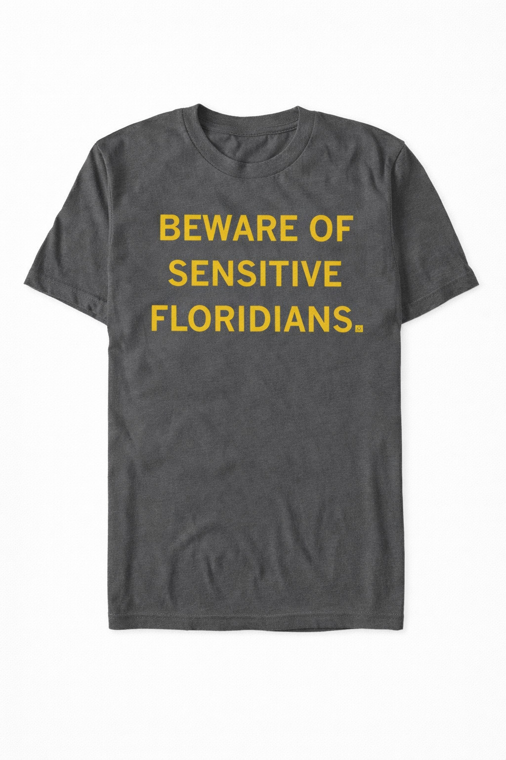 Beware Of Sensitive Floridians T-Shirt Funny State Meme Graphic Tees Gift For Locals
