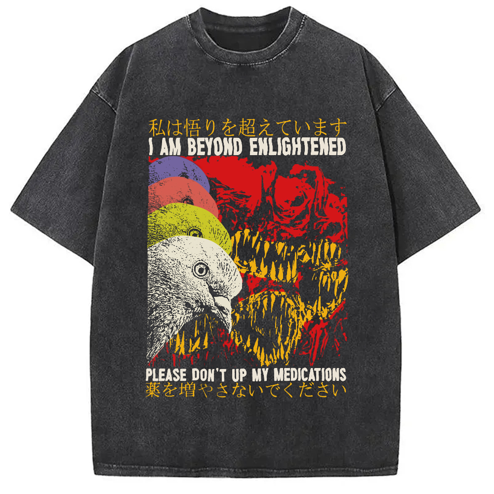 Beyond Enlightened Vintage Pigeon Washed T-Shirt Trendy Aesthetic Graphic Apparel Gifts For Best Friend