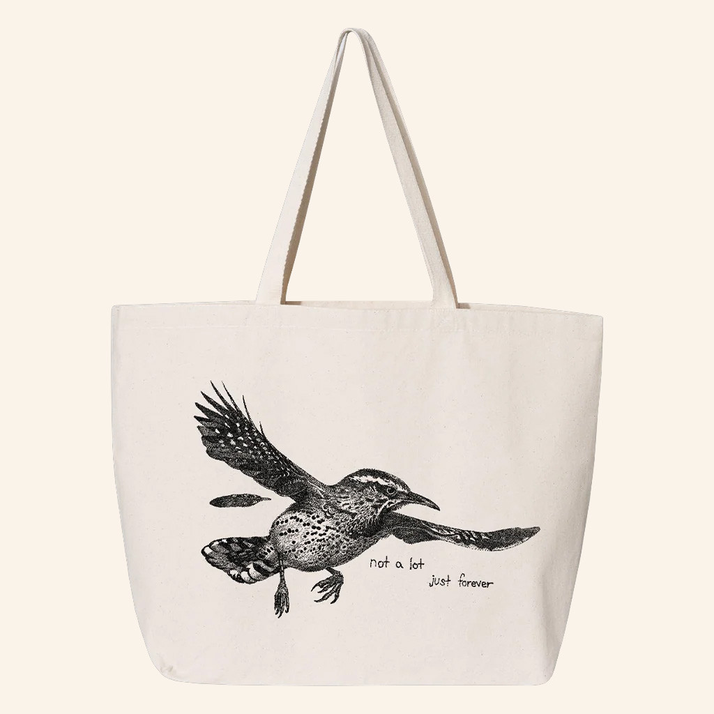 Big Thief Merch Not A Lot Just Forever Tote Bag Christmas Gift Ideas For Sister Big Thief Merch Not A Lot Just Forever Tote Bag Christmas Gift Ideas For Sister