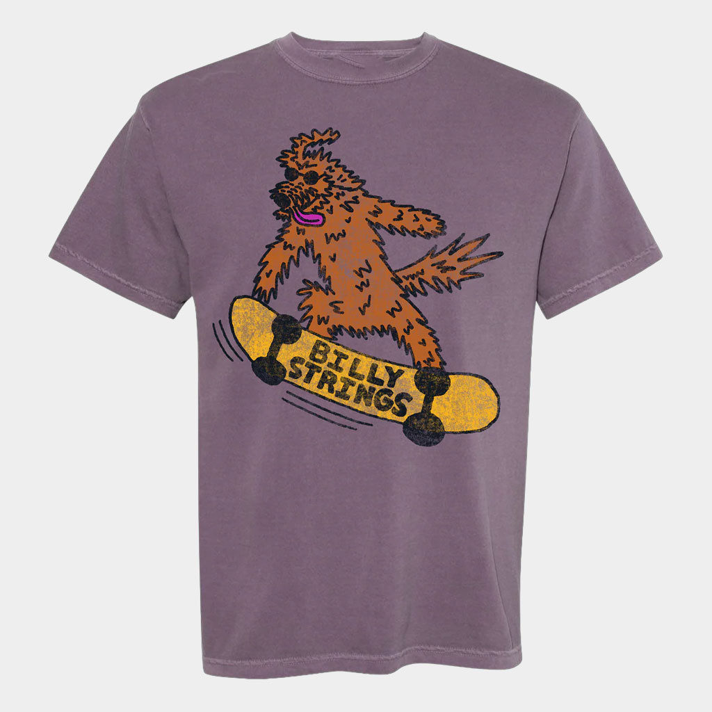 Billy Strings Merch Skateboarder T-Shirt Billy Strings Winter 2026 T-Shirt Gifts For Brother