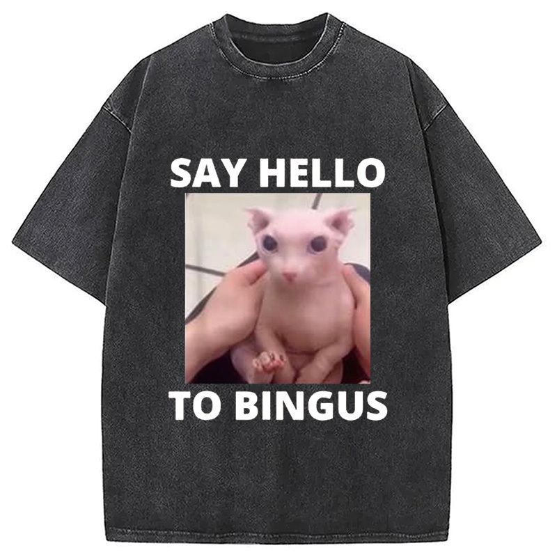 Bingus Cat Meme Washed T-Shirt Casual Vintage Everyday Look Gifts For BFF