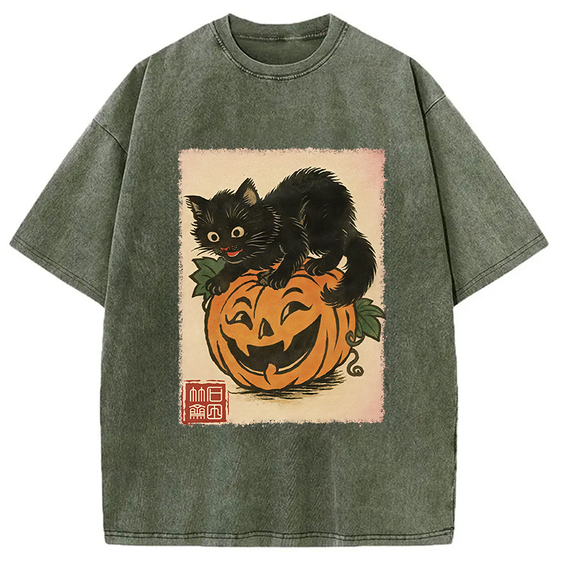 Black Cat And Pumpkin Washed T-Shirt Everyday Comfort Graphic Shirt Gifts For Him