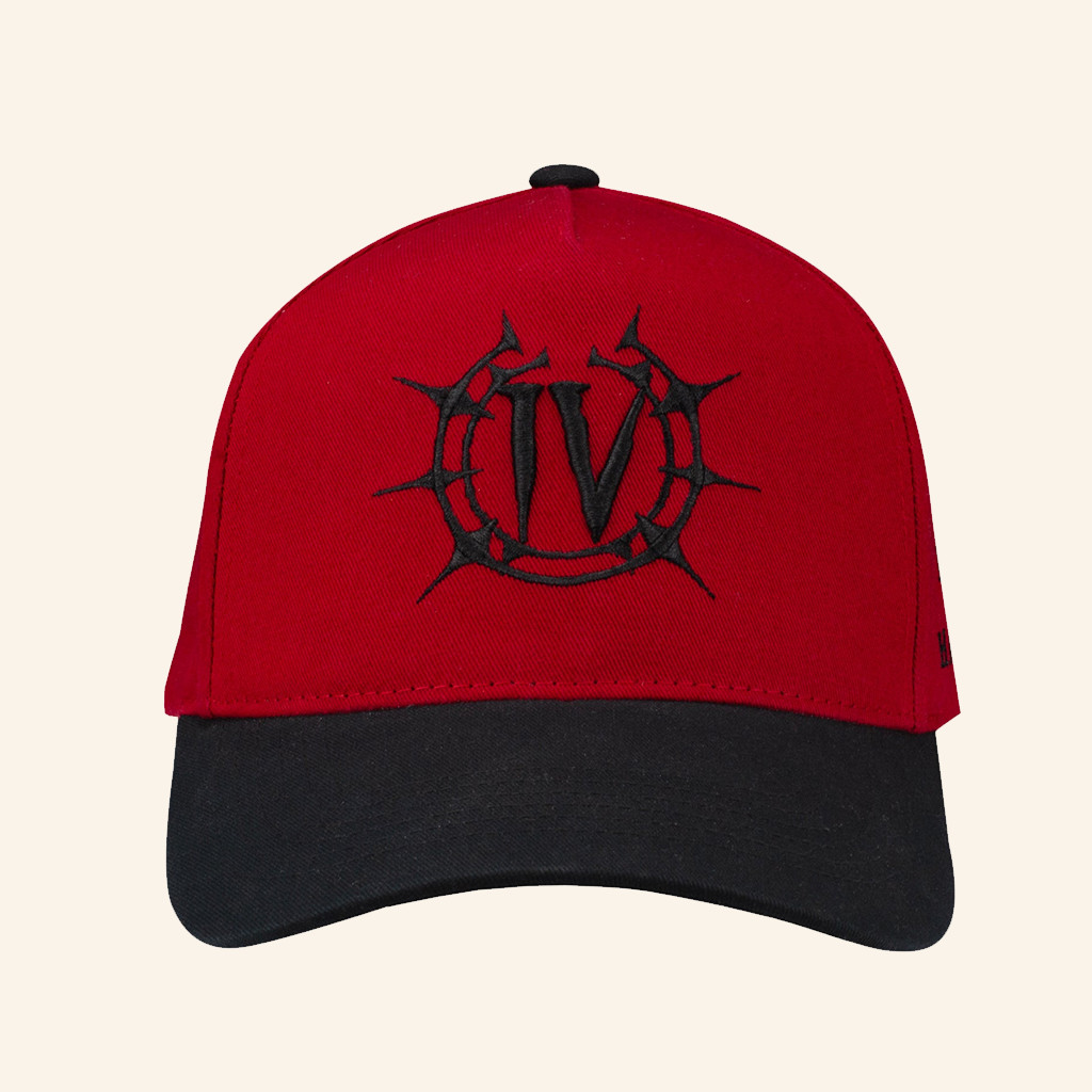 Blizzard Gear Merch Diablo IV Lord Of Hatred Logo Embroidered Hat Gifts Ideas For Brothers