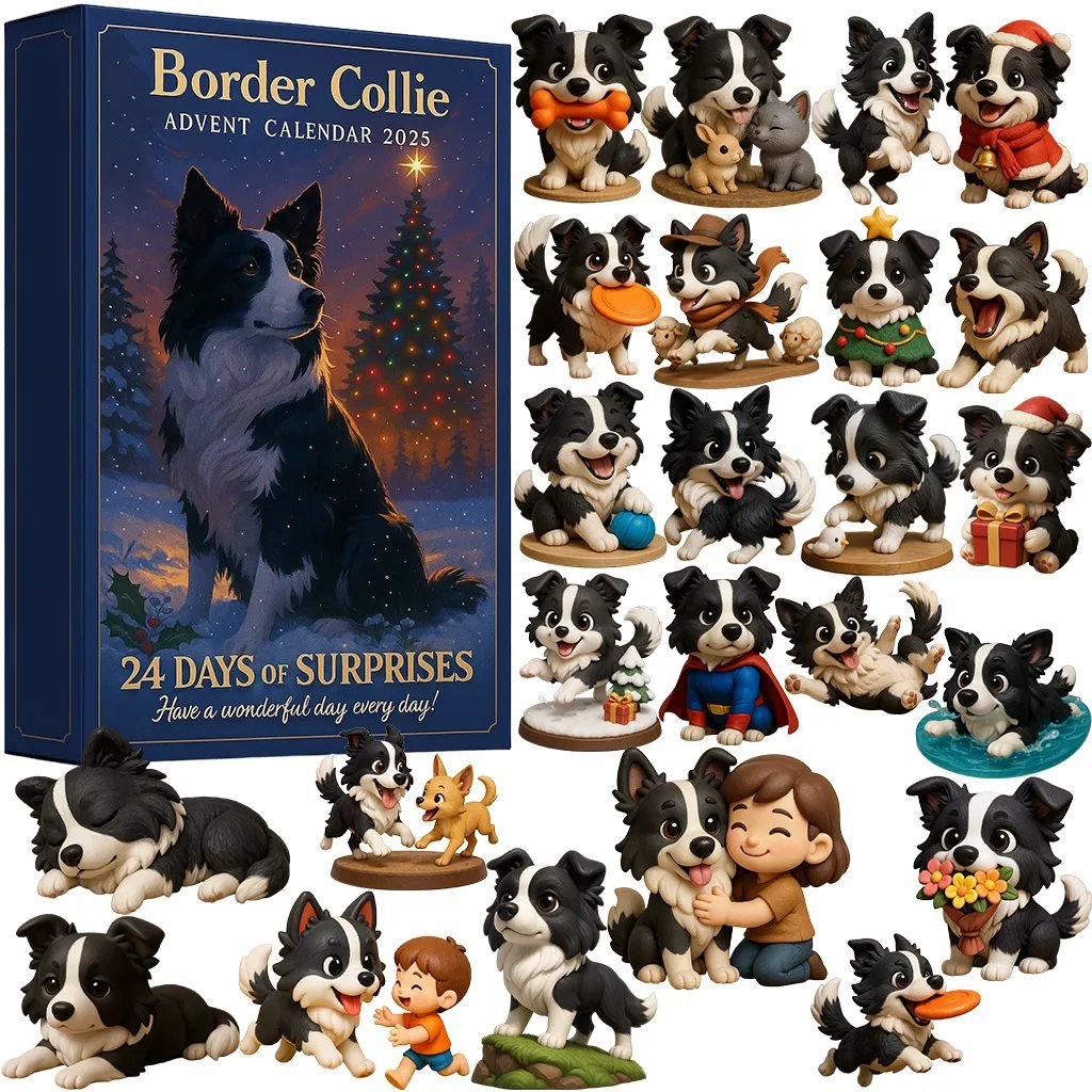 Border Collie Advent Calendar 2025 Holiday Decor Christmas Gifts For Border Collie Lovers