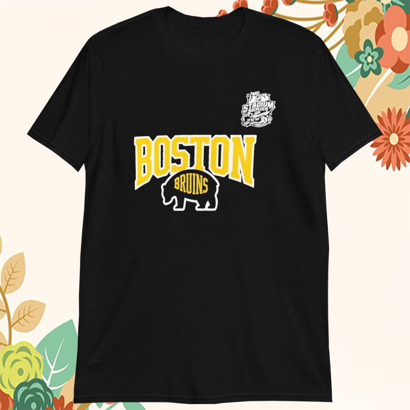 Boston Hockey 2026 Stadium Series Logo T-Shirt Gift For Hockey Fans