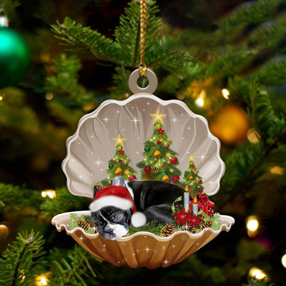 Boston Terrier3 Sleeping in Pearl Dog Christmas Ornament Flat Acrylic