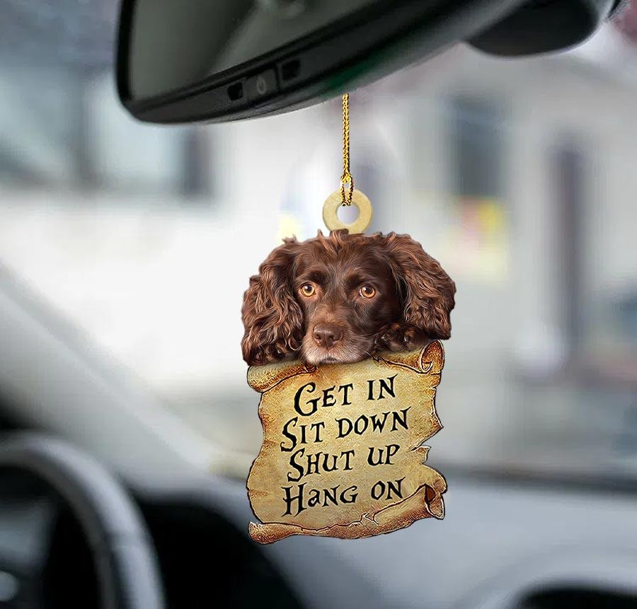 Boykin Spaniel get in two sided ornament cool ornaments for cars
