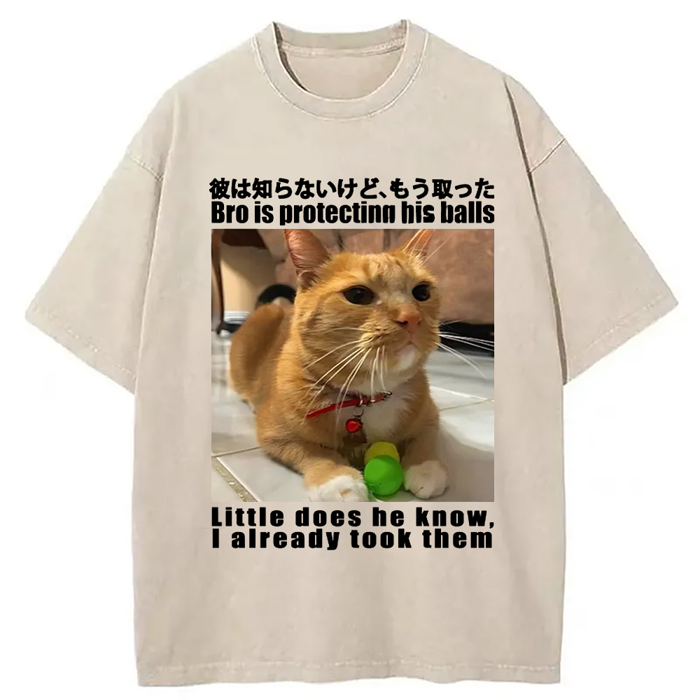 Bro Is Protecting His Balls Washed T-Shirt Funny Quote Unisex Shirt Gifts For Friends