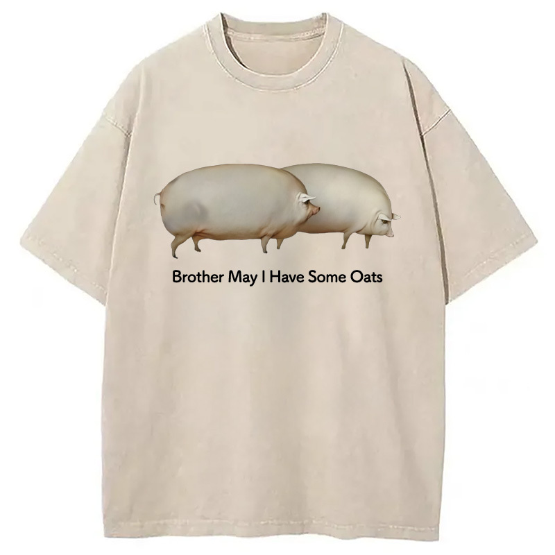 Brother May l Have Some Oats Meme Washed T-Shirt Trendy Aesthetic Graphic Apparel Gifts For Sister