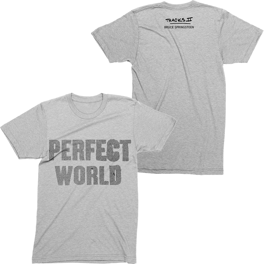 Bruce Springsteen T-Shirt Bruce Springsteen Merch Perfect World Album Tee Cool Gifts For Dad