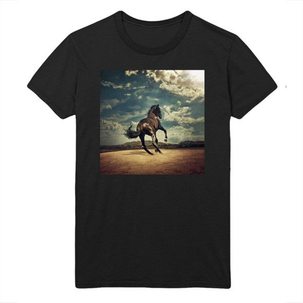 Bruce Springsteen T-Shirt Western Stars Album Cover Tee Bruce Springsteen Merch Fans Gifts