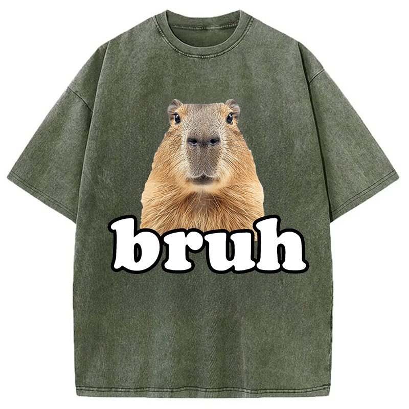 Bruh Capybara Washed T-Shirt Funny Aesthetic Trendy Apparel Gifts For Brother