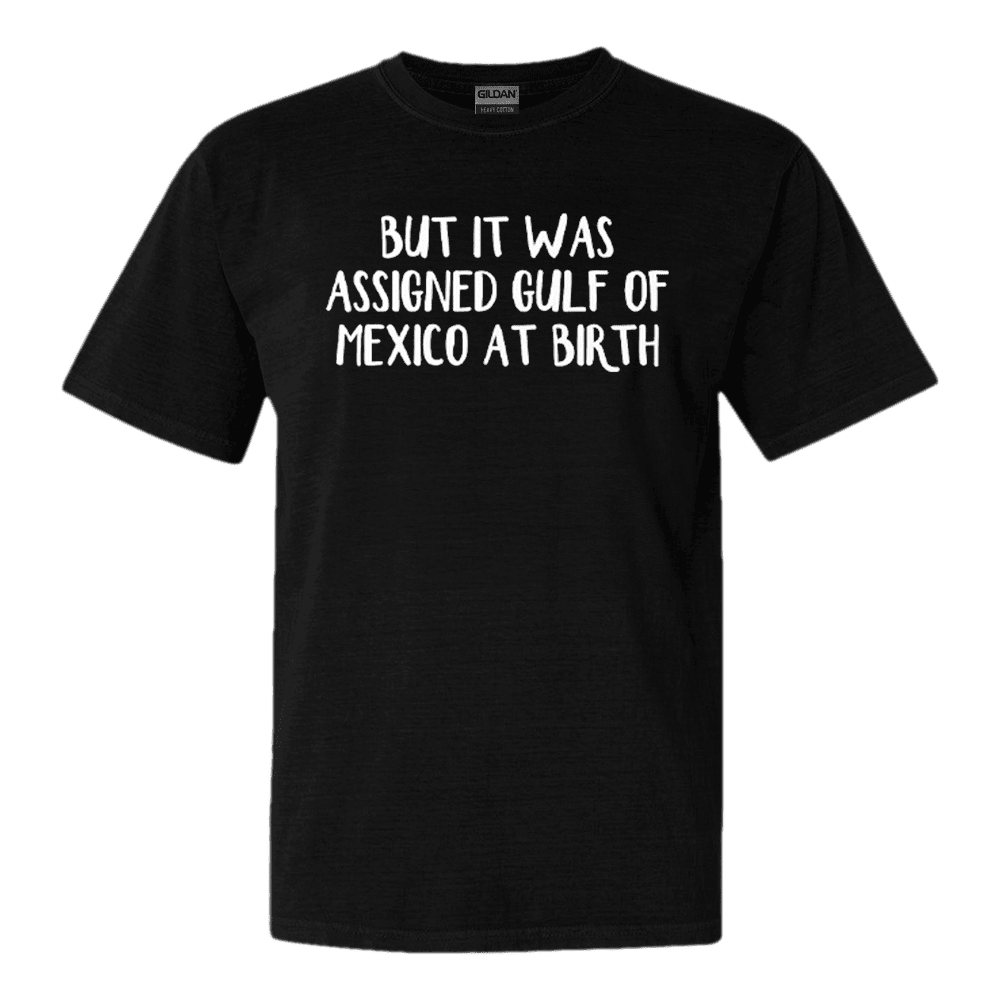 But It Was Assigned Gulf Of Mexico At Birth T-Shirt Anti Trump Political Tee But It Was Assigned Gulf Of Mexico At Birth T-Shirt Anti Trump Political Tee